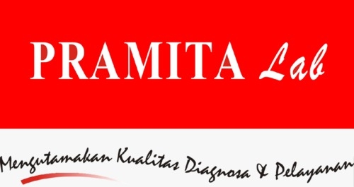 PRAMITA LAB TEUKU CIK DITIRO